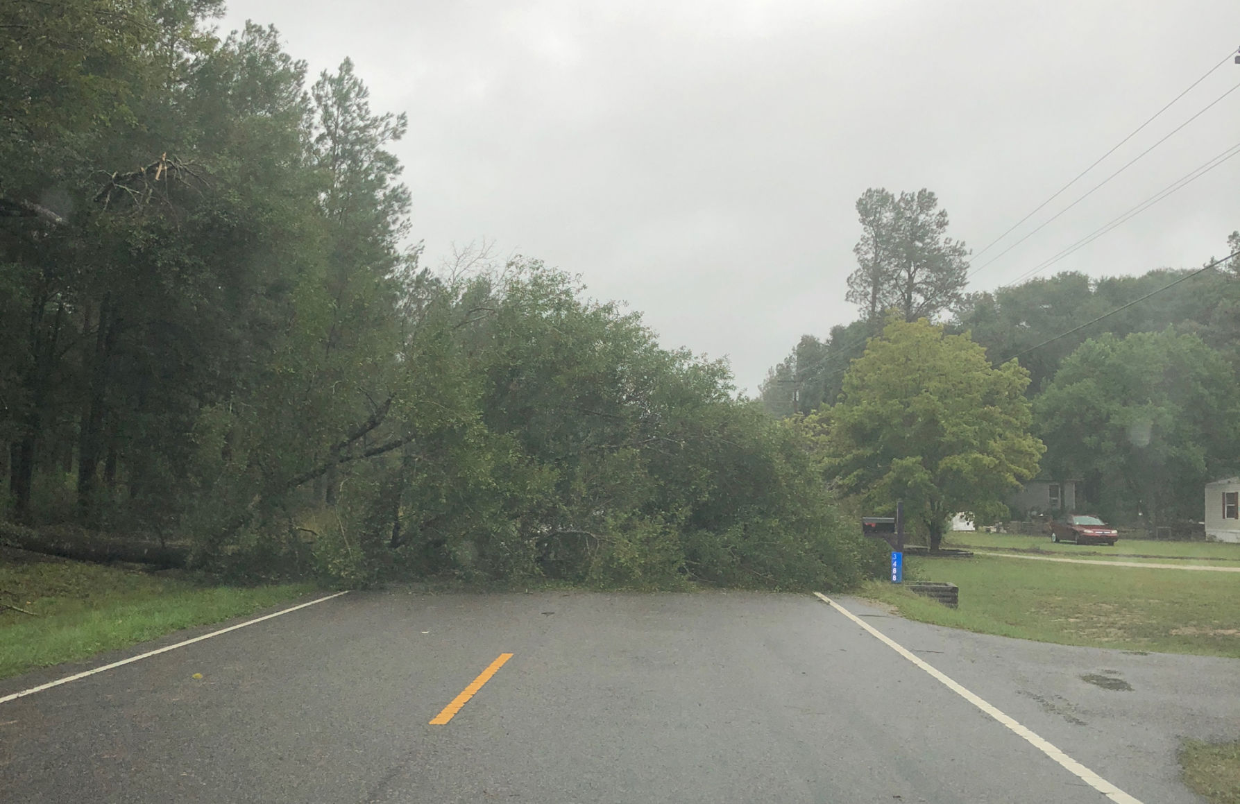 Michael-tree down in Bamberg County